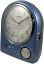 Budík Casio TCL100-2