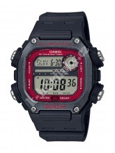 Pánské hodinky Casio DW-291H-1BVEF