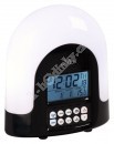 Rádiem řízený budík JVD RB298.1